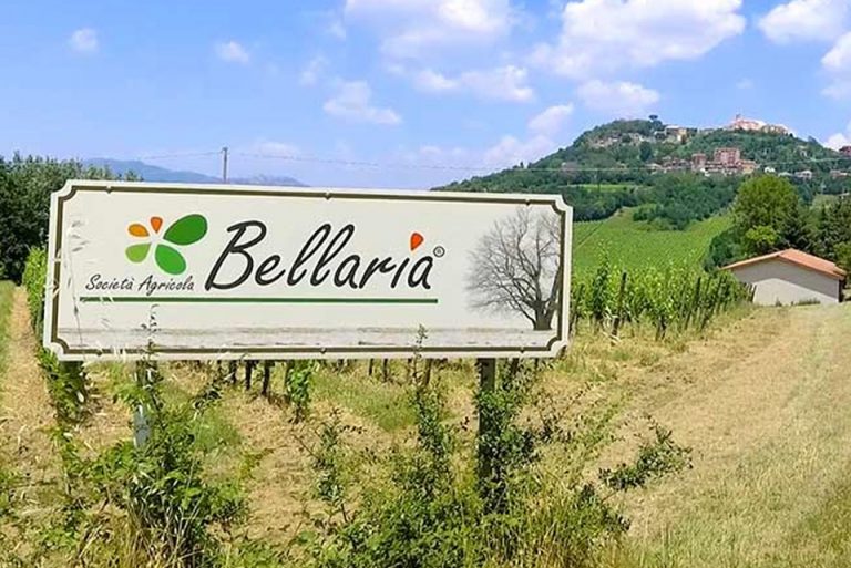 Agricola Bellaria - Portfolio - Piero Muscari