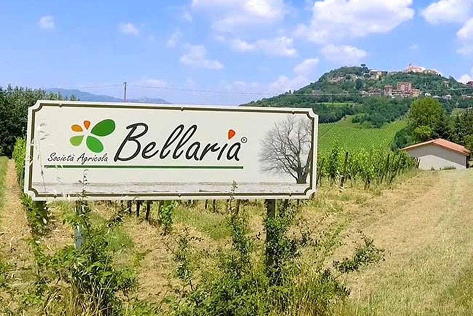 Agricola Bellaria - Portfolio - Piero Muscari