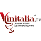 vinitaliatv-logo