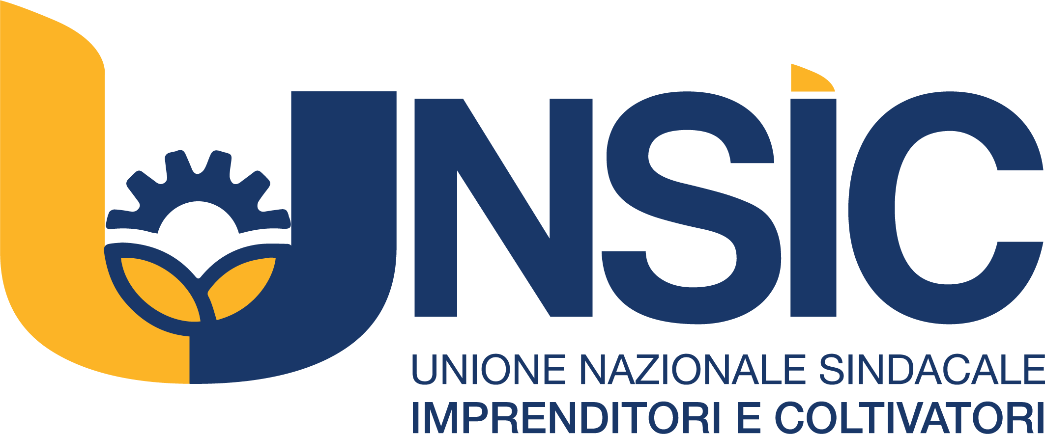 UNSIC logo_color